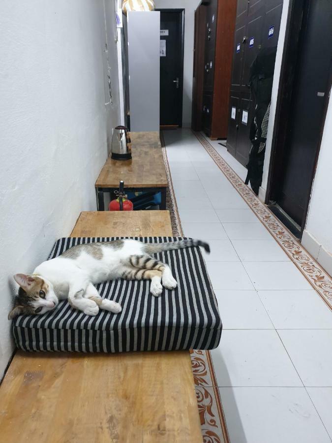 Starfish Alley Hostel Da Nang Exterior photo